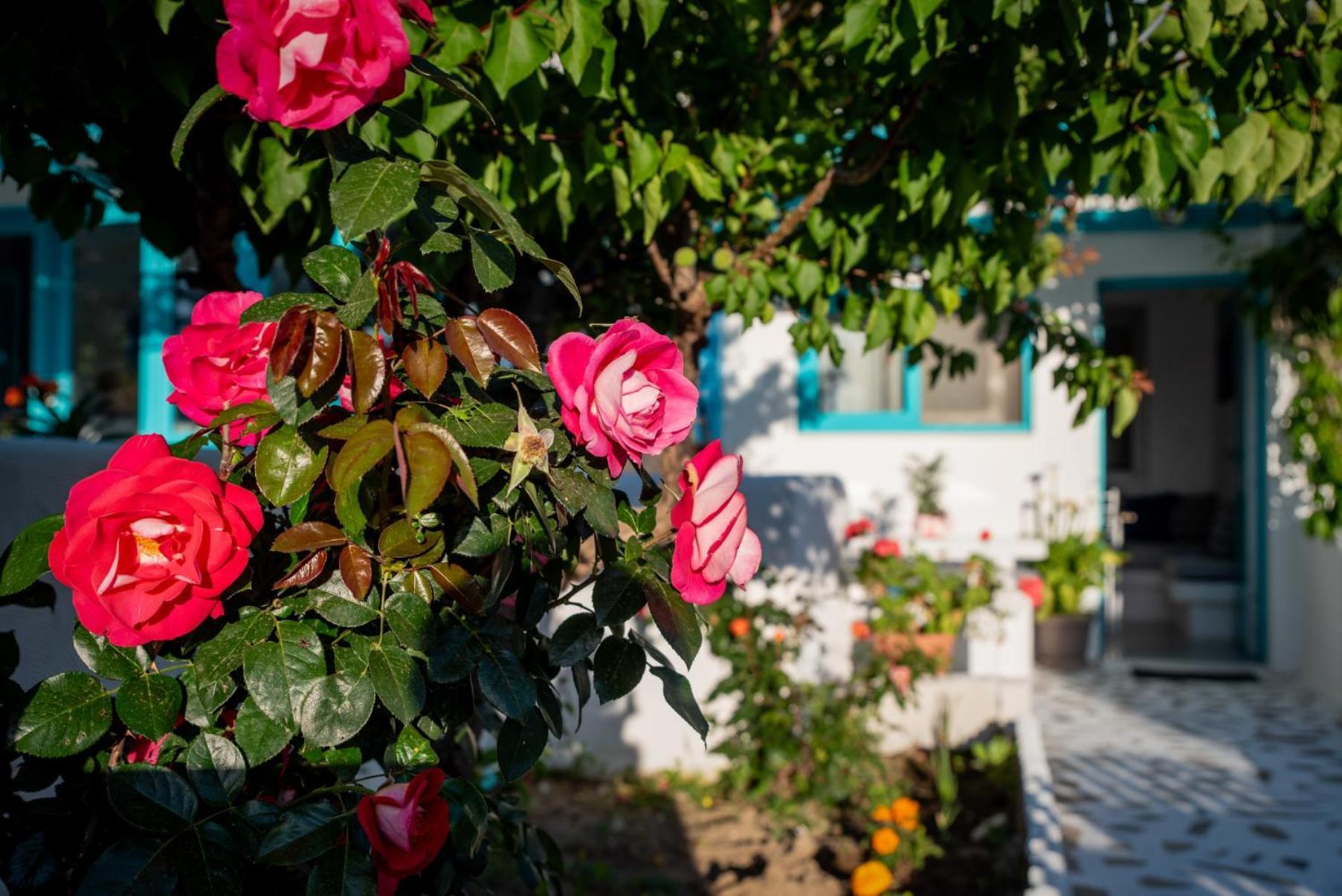 Naxos City Azzurro Naxos, Azzurro I - Azzurro II - Azzurro III 아파트 외부 사진