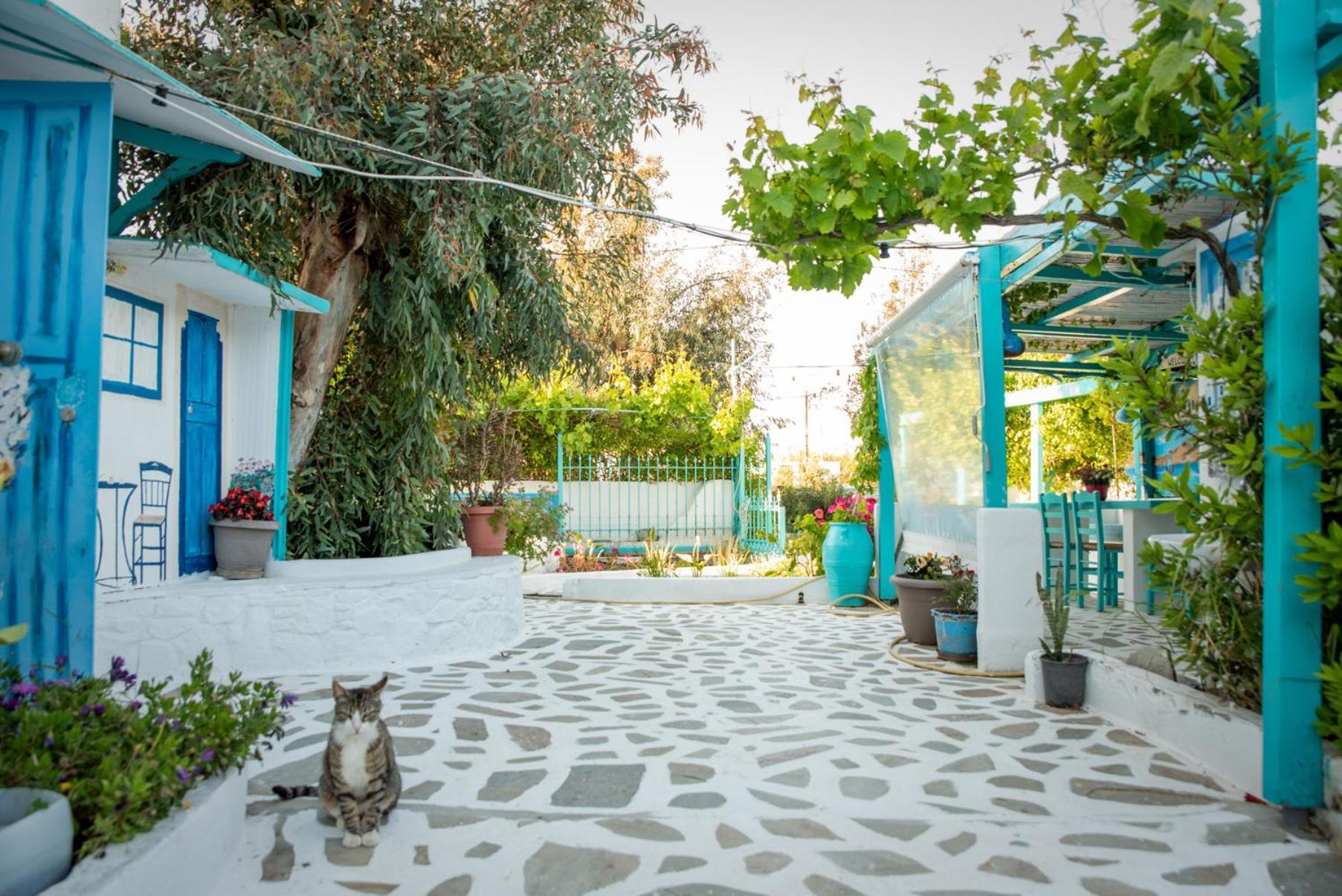 Naxos City Azzurro Naxos, Azzurro I - Azzurro II - Azzurro III 아파트 외부 사진